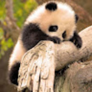 Meet your Posher, Ezra